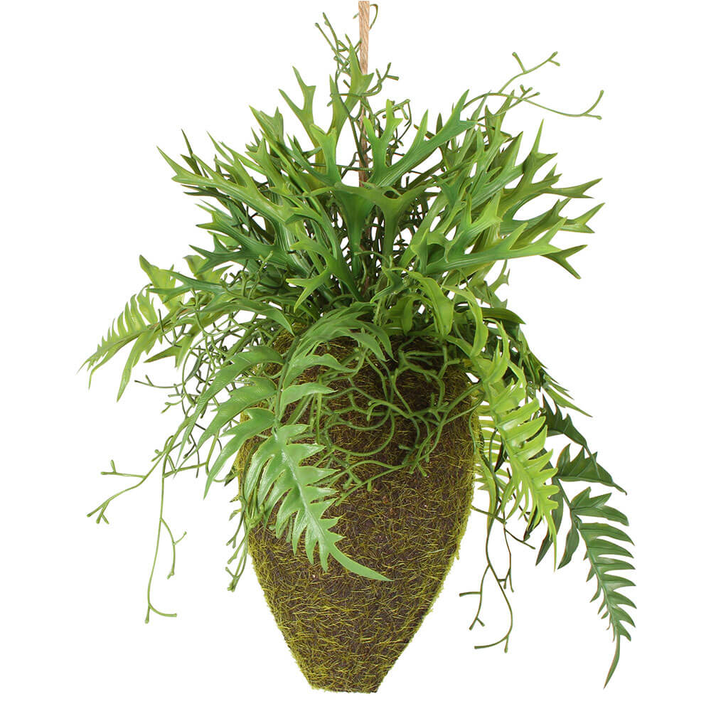 Moana Kokedama blandat hängande