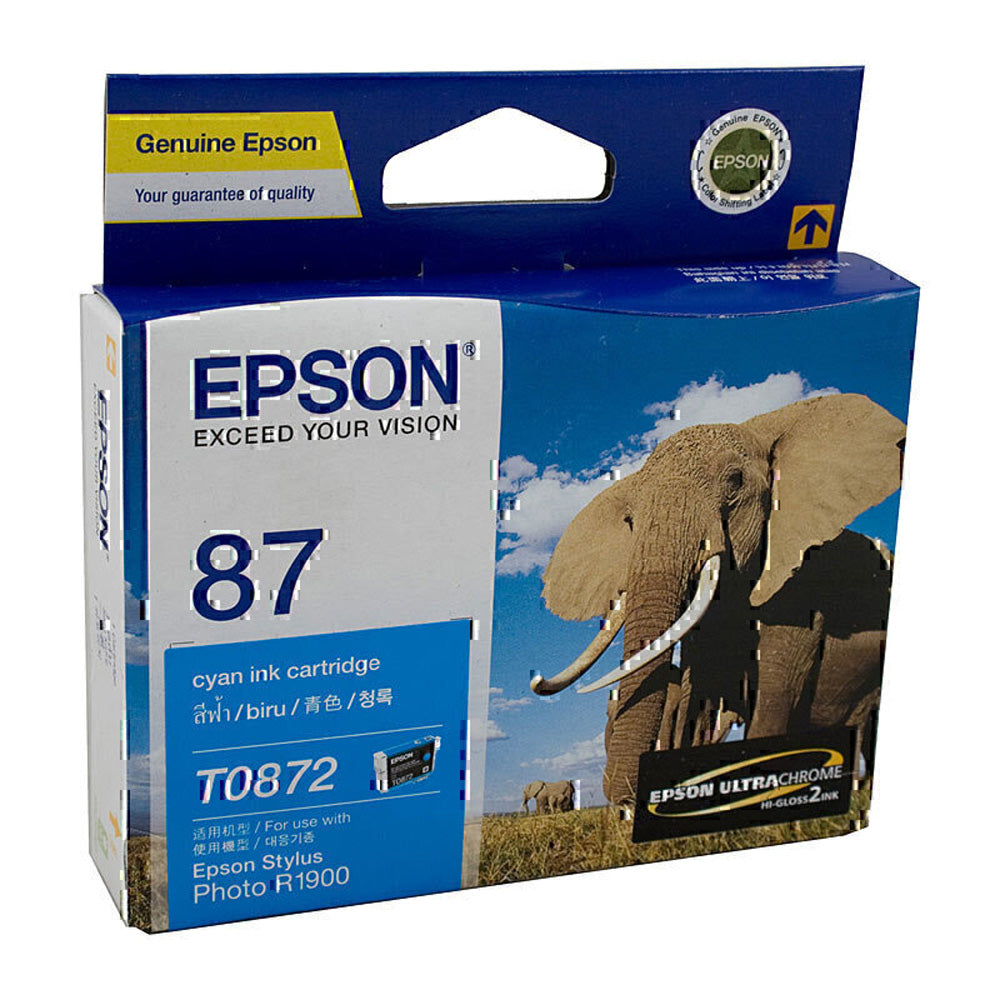 Epson T087 Ink Cartridge