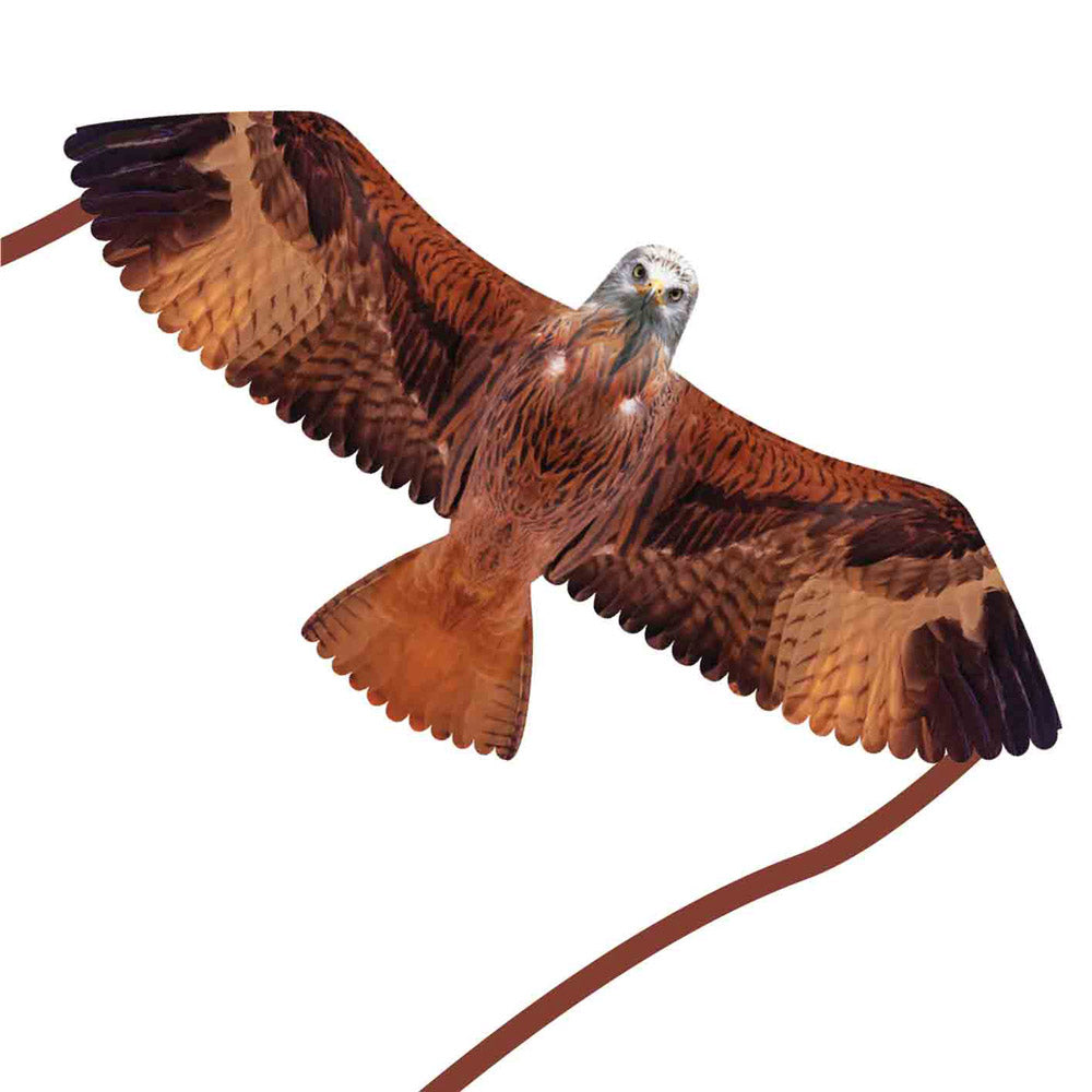 Brookite Red Kite