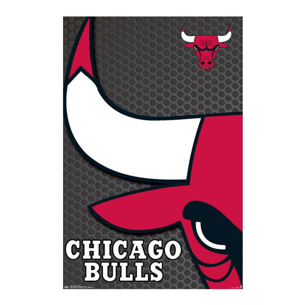 NBA Chicago Bulls plakat