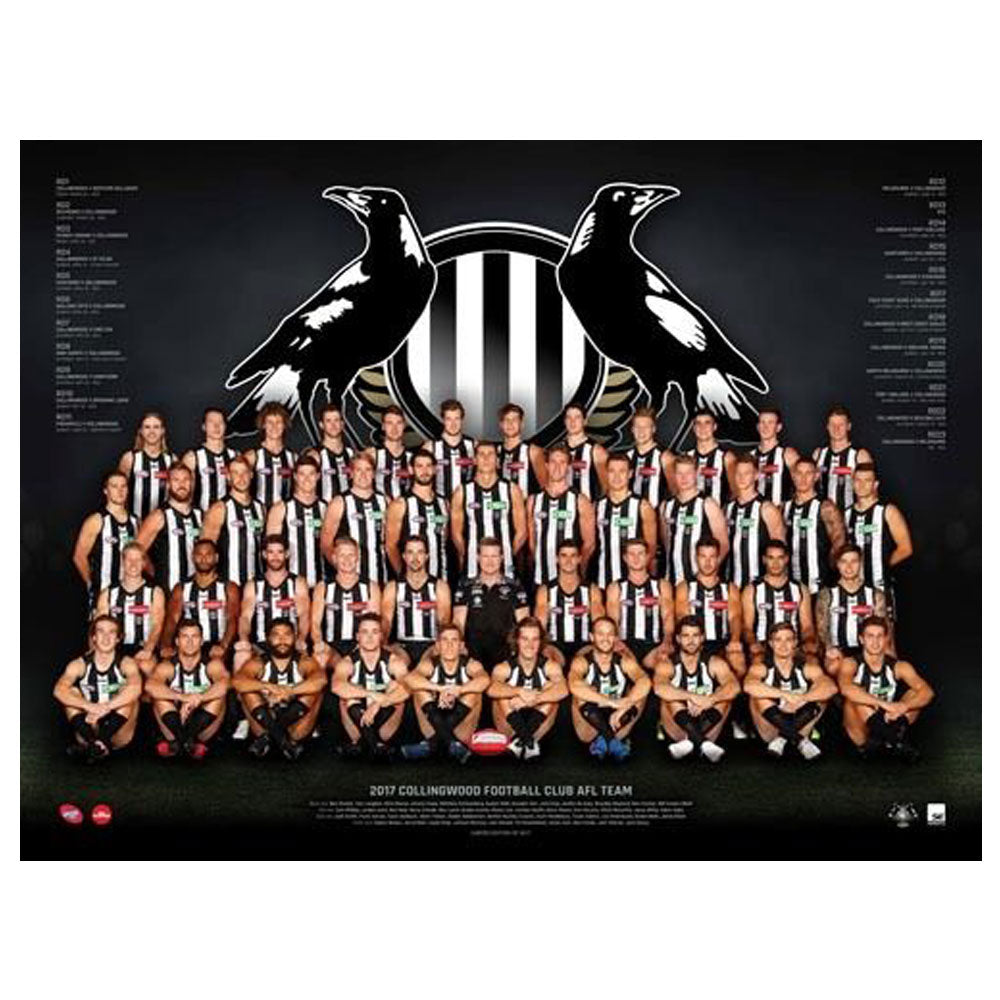 AFL 2017 Team Plakat