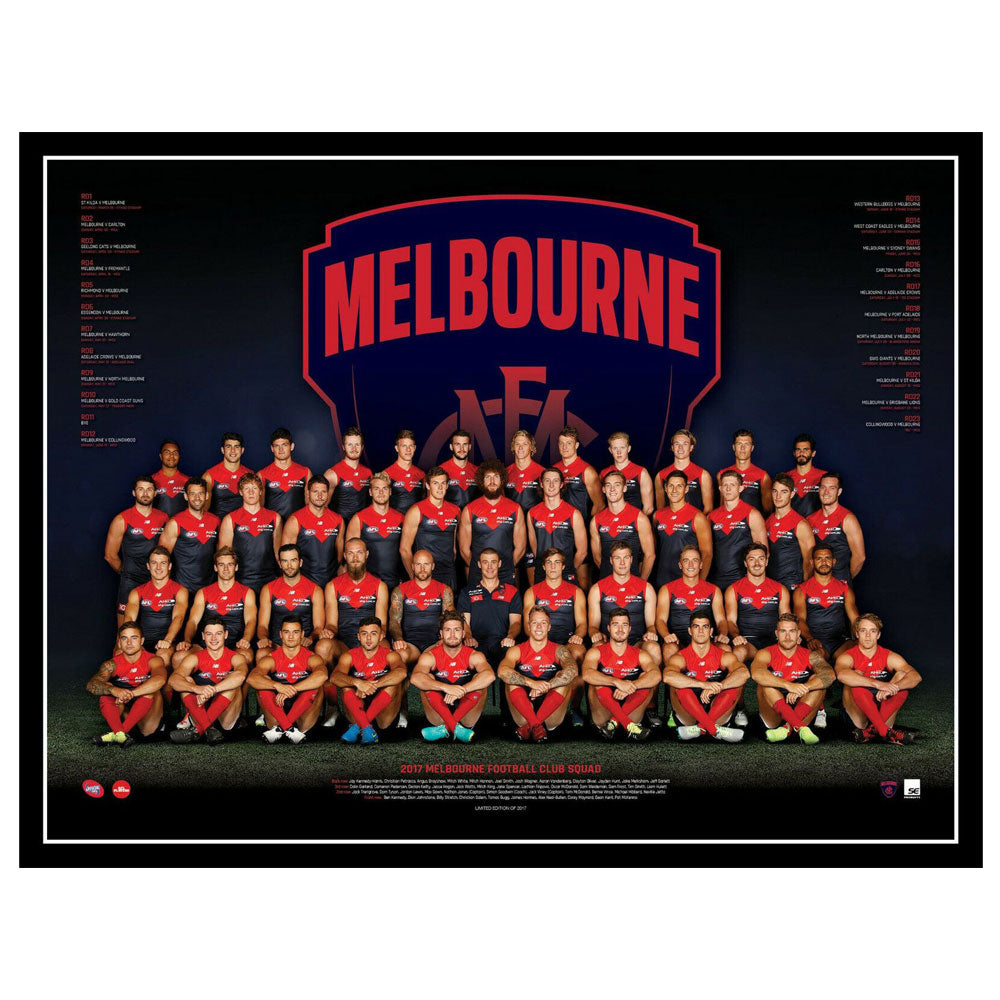 AFL 2017 Team -plakat