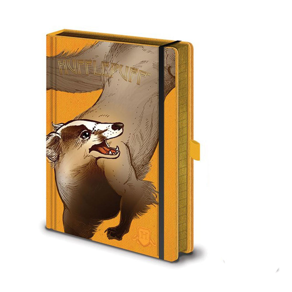 Harry Potter Skomplikowane domy A5 Premium Notebook