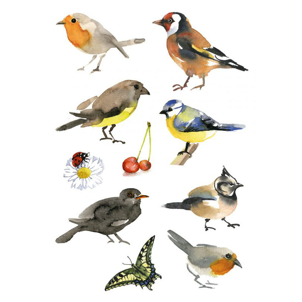 Herma Water-Coloured Birds Sticker Decor