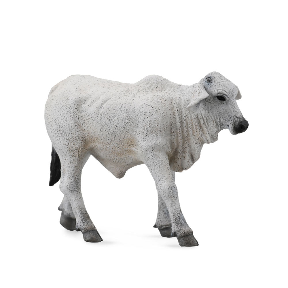 CollectA Brahman-Kalb-Figur (klein)