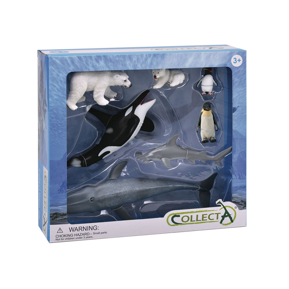 Collecta Sea Life Figures Animal Figures Set Gift