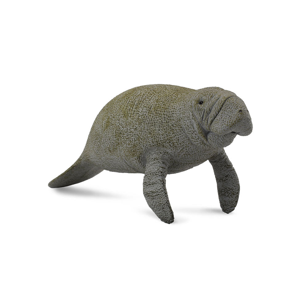 CollectA Manatee Figure (Large)