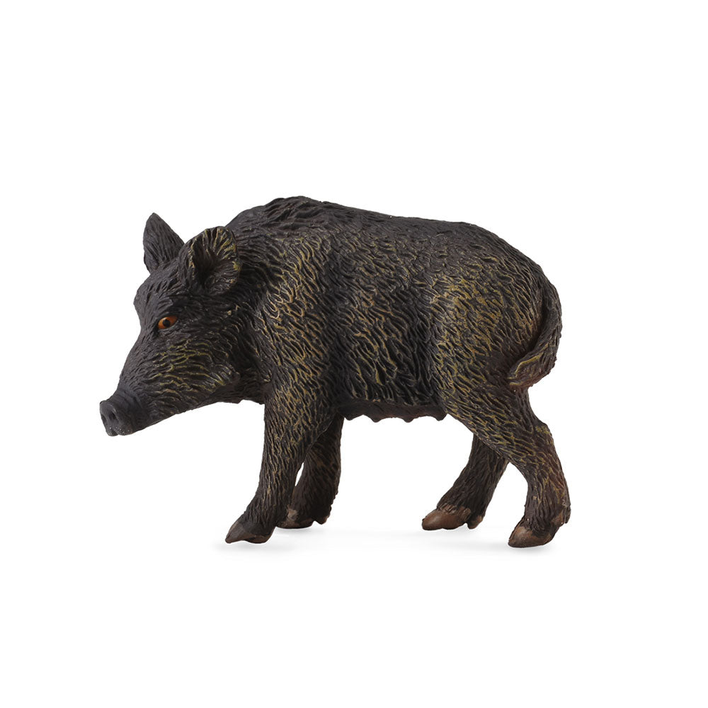 Collecta Wild Pig Figure (Medium)