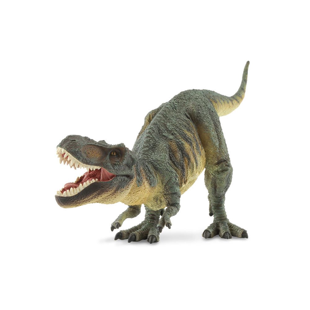 Collecta Tyrannosaurus Rex Dinosaurの姿