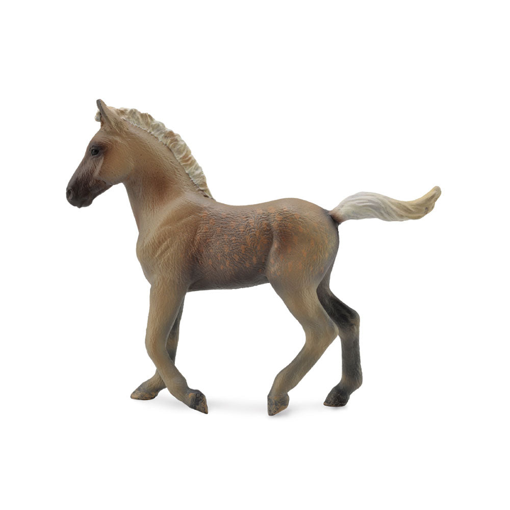 CollectA Chocolate Rocky Mountain Foal Figure (Medium)