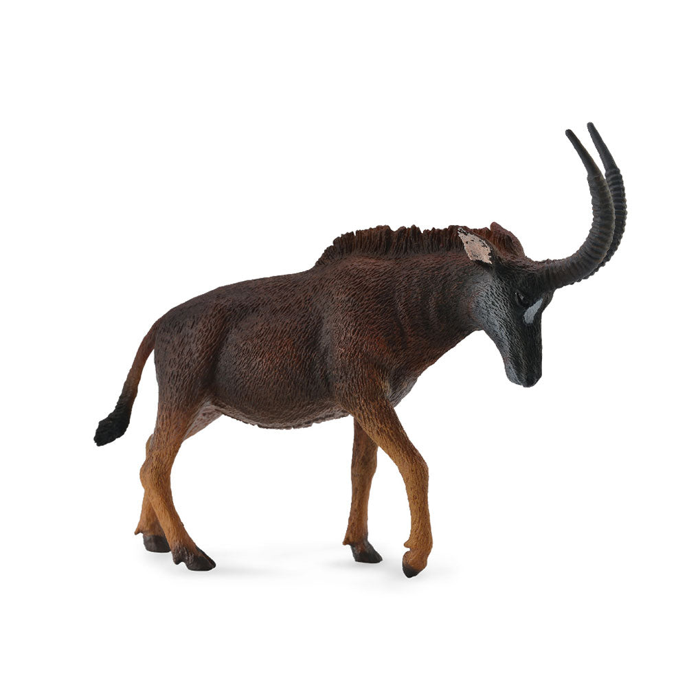 Colleca Giant Sable Antelope (stor)