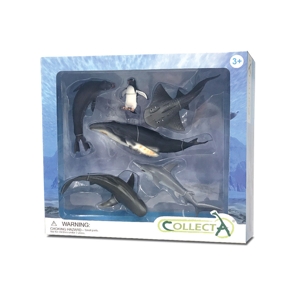 Collecta Sea Animal Figures gavesett (pakke med 6)