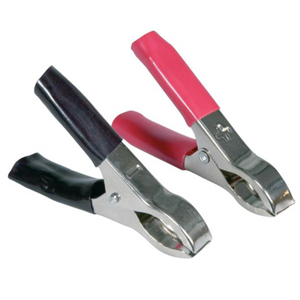 Clips de type de batterie de voiture 2pk