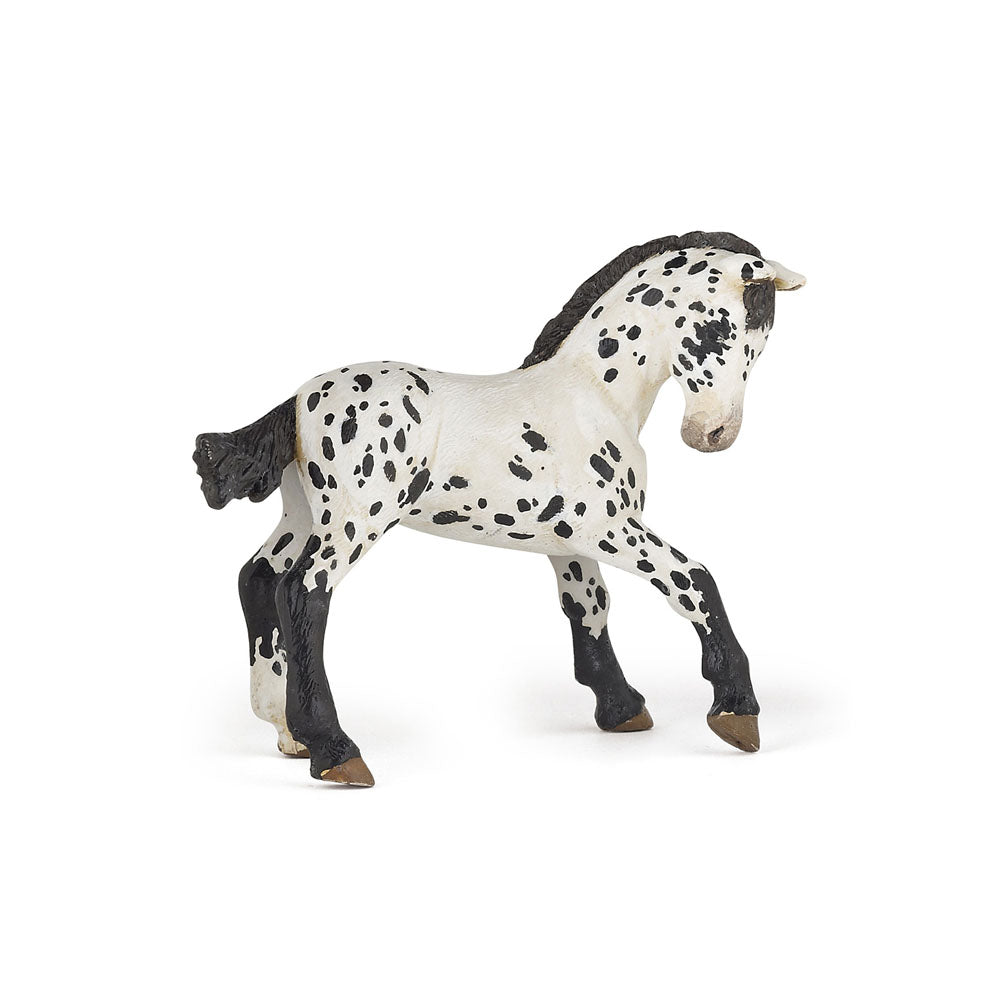 Papo Black Appaloosa figur