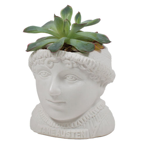 Jane Austen Planter