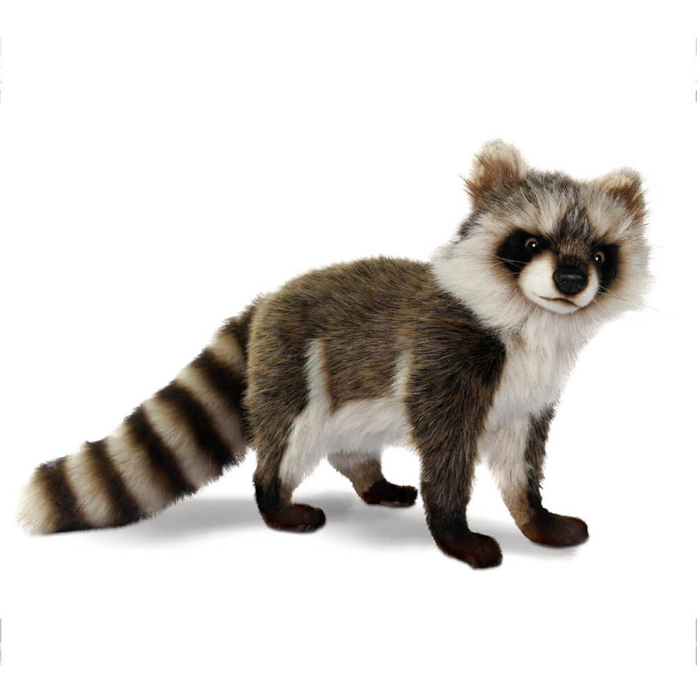 Hansa Standing Racoon (35cm)