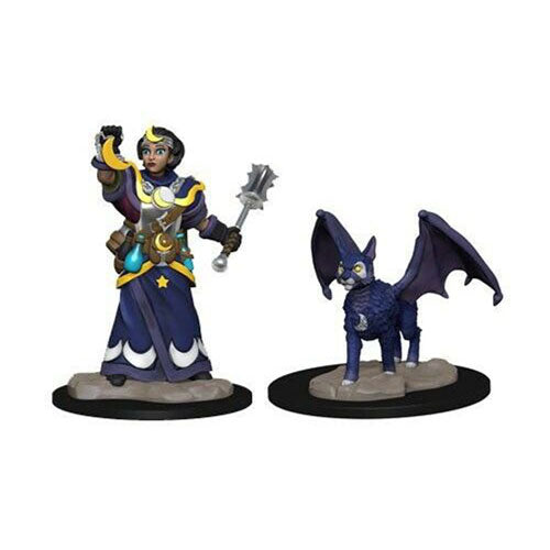 Wardlings Girl Cleric & Winged Cat Pre-Painted Minis