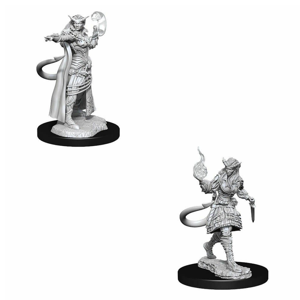 D&D nolzurs miniatures non peintes