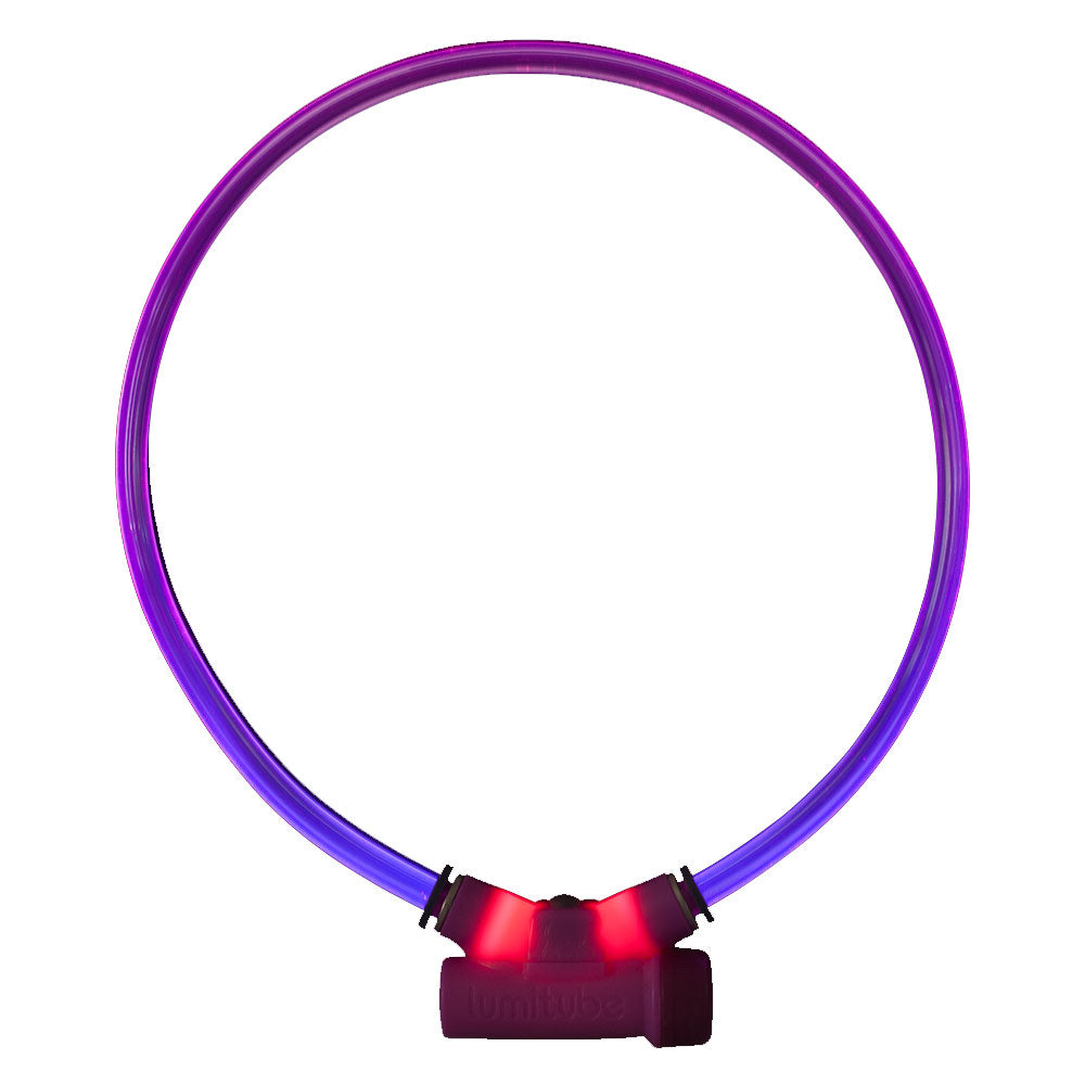 Lumitube illuminato dal dingo rosso (viola)