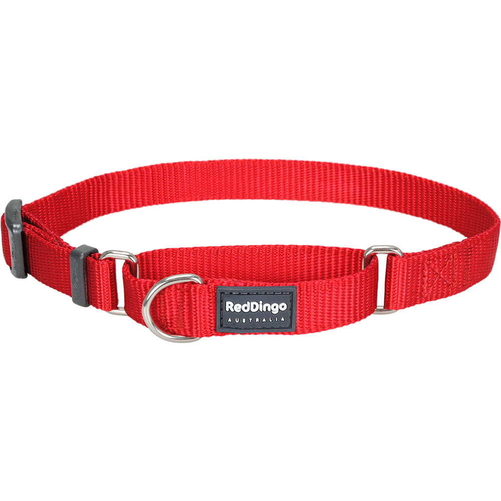 Collar Classic Martingale (vermelho)