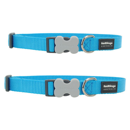 Classic Dog Collar (Turquoise)