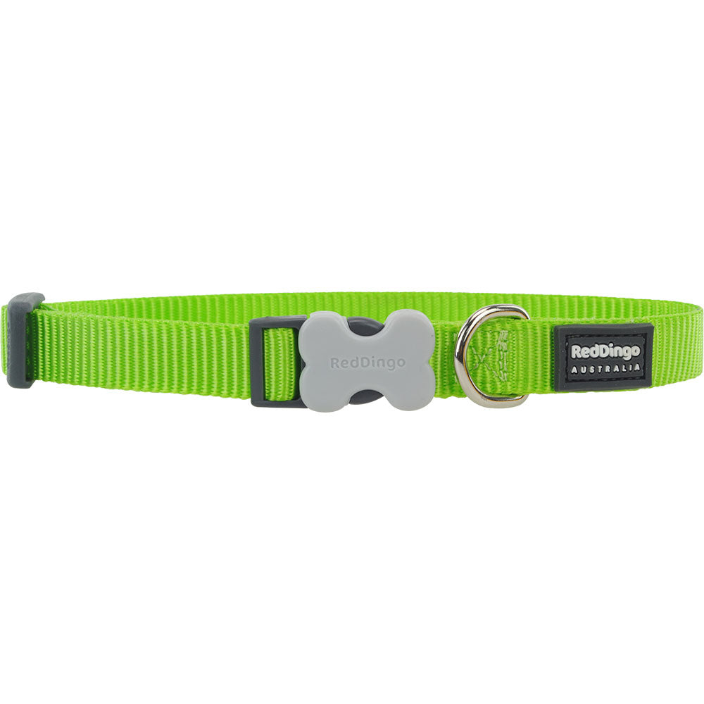 Collar per cani classico (verde lime)