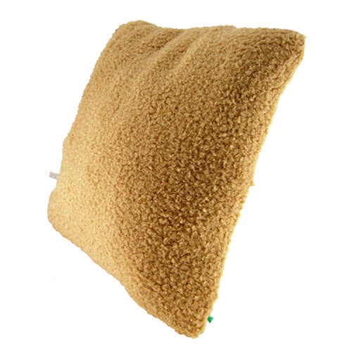 Ted 14" Pillow w/ Sound