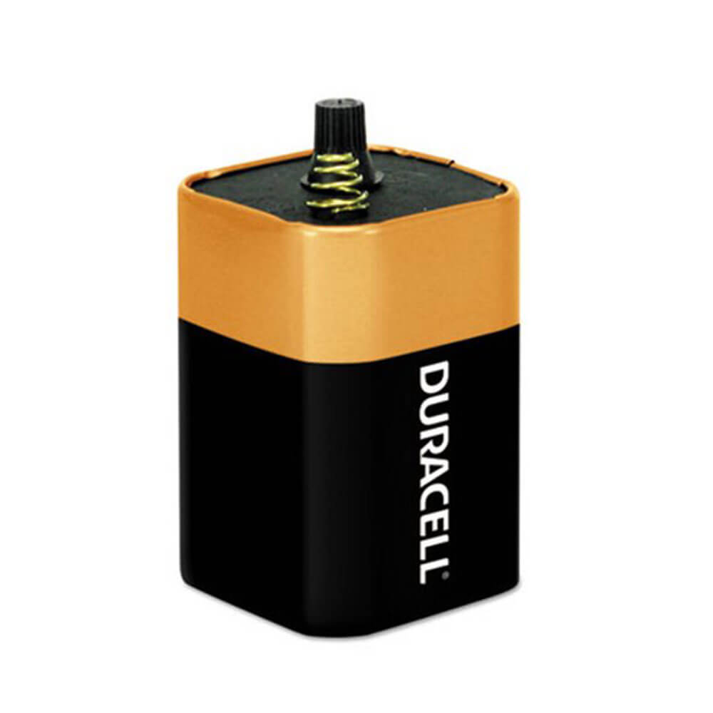 Duracell Alkaline Battery